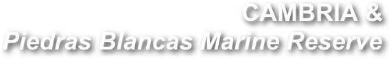 CAMBRIA &  
Piedras Blancas Marine Reserve