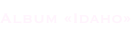 shapeimage_6_link_3
