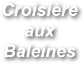 Croisière aux Baleines