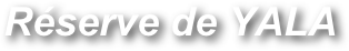 Réserve de YALA