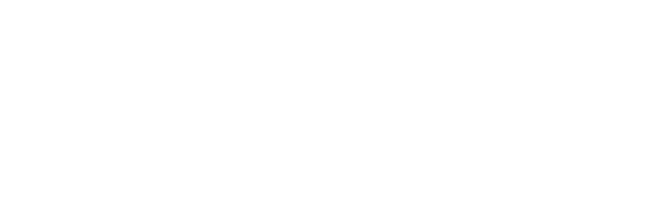 Vestige de l’ancien lac de Bonneville qui autrefois couvrait la région, le Bonneville Salt Flats curiosité naturelle, est une étendue de 30 000 ha de croûte de sel ressemblant à un grand lac gelé recouvert de neige. Situé à l'Ouest du Grand Lac Salé il est facilement accessible par le I 80.
Réputé pour ses courses automobiles à grande vitesse il est devenu l’endroit incontournable pour les amateurs de vitesse d’autant que plusieurs records automobiles et d'endurance pour les motos y sont organisés depuis 1935.
Les particuliers peuvent également s’amuser à pousser leur voiture, à leurs risques et périls, sous réserve de respecter la réglementation du site.