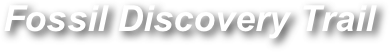 Fossil Discovery Trail