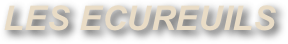 LES ECUREUILS