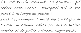 La nuit tombe vraiment. La question qui revient sans cesse : pourquoi n’ai je pas pensé à la lampe de poche ? 
Dans la pénombre il nous faut essayer de trouver le chemin balisé par des branches mortes et de petits cailloux superposés.