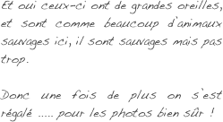 Et oui ceux-ci ont de grandes oreilles, et sont comme beaucoup d’animaux sauvages ici, il sont sauvages mais pas trop.

Donc une fois de plus on s’est régalé ..... pour les photos bien sûr !
