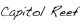 shapeimage_44_link_0