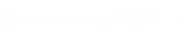 shapeimage_7_link_1