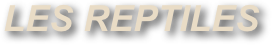 LES REPTILES